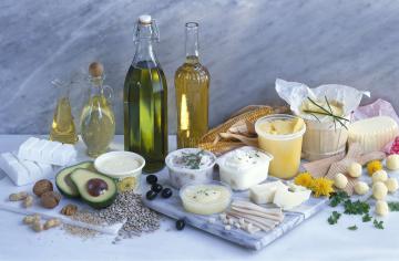 Finan Group Fats and Oils Products and Solutions 2