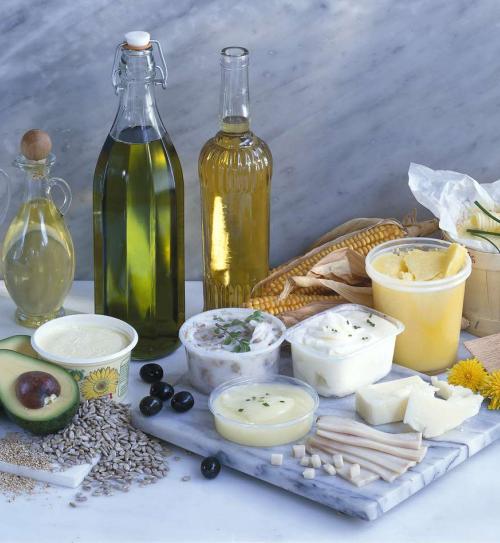 Finan Group Fats and Oils Products and Solutions 2
